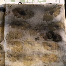 My project in Botanical Printing on Fabric and Paper course. Fiber Arts project by missphee1327 - 12.17.2020