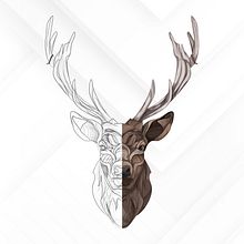 ciervo. Un progetto di Illustrazione vettoriale di FRANCISCO AGUIRRE ARAGONÉS - 17.12.2020