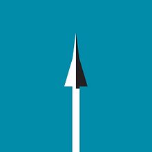 Black is Betlza Ein Projekt aus dem Bereich Verlagsdesign und Vektorillustration von Paadín - 17.12.2020