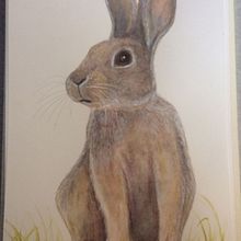 My project in Experimental Watercolor Techniques for Beginners course. Watercolor Painting project by Annette Jenner - 12.17.2020