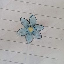 Flor . Gambar Pensil proyek oleh Milén Rojas - 12.17.2020