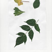 Practica N°3 . Artă stradală de Lucrecia Olive - 12.18.2020