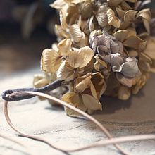 Mi Proyecto del curso: Tocado floral: crea tu complemento de flores. DIY project by Tatiana Oller Ramirez - 12.21.2020