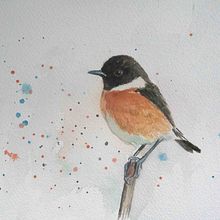 My project in Artistic Watercolor Techniques for Illustrating Birds course number 2. Un proyecto de Pintura a la acuarela de Ruud van Unen - 04.01.2021