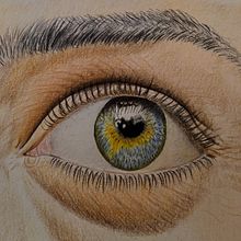 ojo.  project by Mauricio Ruiz - 12.19.2020