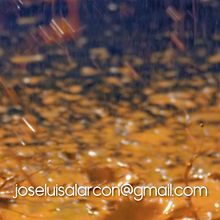 Color reel con algunos de mis últimos proyectos de color. . % José Luis Alarcón San José tarafından hazırlanan Film, Video ve TV, Renk Düzeltme, Video Düzenleme, Fotoğraf Post Prodüksi, on, Görsel-İşitsel Post Prodüksi, on, Reklamcılık, Film, apımcılığı, TV, Ve Video projesi - 12.22.2020