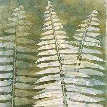My project in Negative Watercolor Painting for Botanical Illustration course. Fine Arts, Traditional illustration, and Watercolor Painting project by armaundrell - 12.23.2020