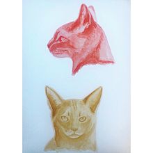 Experimental Watercolor Techniques - Layered Monochrome Colours. Watercolor Painting project by Lizzie Riach - 12.22.2020