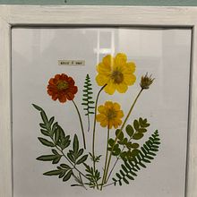 Meu projeto do curso: Técnicas básicas para prensar flores e plantas. Projekt z dziedziny Craft użytkownika Thaís Santiago - 23.12.2020