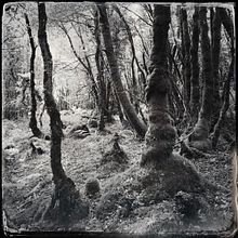 Night Journey. Un projet de Photographie artistique de Cindy Plecko - 23.12.2020