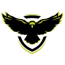 Promo de empresa de drones. Br, ing & Identit project by Esteban Ugalde Alarcon - 12.24.2020