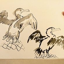My updated project in Illustrating Nature: A Creative Exploration course. Traditional illustration project by opdebeeck.anja - 12.24.2020
