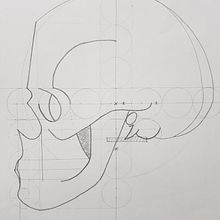Mi Proyecto del curso: Dibujo anatómico para principiantes Ein Projekt aus dem Bereich Kommunikation, Zeichnung und Anatomische Zeichnung von Alejandro Gómez - 24.12.2020