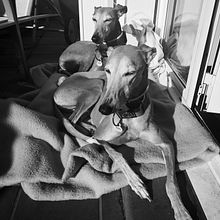 Mis mejores modelos. Portrait Photograph project by Jorge Montero - 12.25.2020