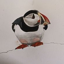 My project in Artistic Watercolor Techniques for Illustrating Birds course. Projekt z dziedziny Malowanie akwarelą użytkownika Annette Thurman - 24.12.2020
