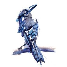 Mon projet du cours : Illustrer la nature : une exploration créative. Traditional illustration, Drawing, Ink Illustration, Naturalistic Illustration, Watercolor Painting, and Painting project by Martine Savart - 12.25.2020