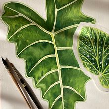 My project in Botanical Watercolor for Patterns course Ein Projekt aus dem Bereich Botanische Illustration, Musterdesign und Aquarellmalerei von Andrea Snuggs - 26.12.2020