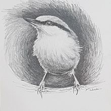 Tonal values - Little Bird  . Pictură acrilică de Milada Theron - 12.27.2020