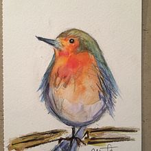 Mi Proyecto del curso: Acuarela artística para ilustración de aves. Un projet de Beaux Arts de Marta Moreno - 28.12.2020