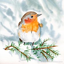 Watercolour birds. Watercolor Painting project by Nadine Buntenbeck - 12.28.2020