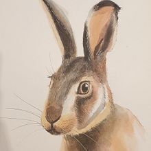 My project: Hare. Watercolor Painting, Traditional illustration, Fine Arts, and Naturalistic Illustration project by estolz22 - 12.28.2020