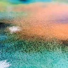 Colours of nature. Watercolor Painting project by Evie McRae Pindsle - 12.29.2020