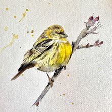 My project in Artistic Watercolor Techniques for Illustrating Birds course Ein Projekt aus dem Bereich Malerei und Aquarellmalerei von leslie_panfil - 29.12.2020