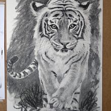 Mis dibujos 2020. Un proyecto de Dibujo a lápiz de Maria Dolores Garcia Moreira - 30.12.2020