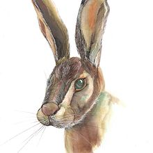  Técnicas experimentales de acuarela para principiantes . Traditional illustration, Ink Illustration, Naturalistic Illustration, and Watercolor Painting project by Maria Pilar Juste - 12.15.2021