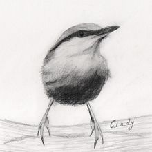 My nuthatch (Artistic Watercolor Techniques for Illustrating Birds course). Un progetto di Pittura ad acquerello di Cindy Motmans - 30.12.2020