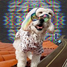 Trippy wuafols. Design project by Nikolas Feick - 12.30.2020