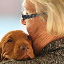 Proyecto Fin de curso: D(old)gs Albergue Domestika. Un proyecto de Publicidad de Pilar Panizo Padrón - 03.01.2021