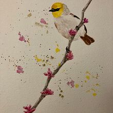 My project in Artistic Watercolor Techniques for Illustrating Birds course. Watercolor Painting project by Rachel Dawson - 12.31.2020