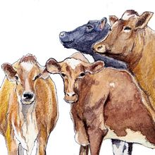 New Year Card Drawing. Drawing, Traditional illustration, and Watercolor Painting project by masayasu yamamoto - 12.31.2020