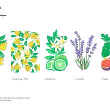 Ilustración Botánica. Un progetto di Illustrazione botanica e Illustrazione naturalistica di Anna Gimenez - 31.12.2020