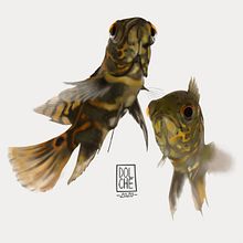 PECES. Concept Art, and Traditional illustration project by Dolche FarNiente - 12.31.2020