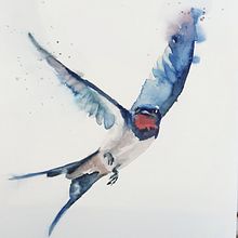My project in Artistic Watercolor Techniques for Illustrating Birds course. Projekt z dziedziny Malowanie akwarelą użytkownika Tina Ritter - 31.12.2020