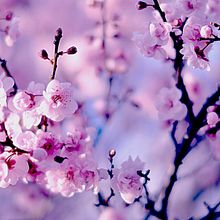 Mi Proyecto del curso: Introducción al e-mail marketing con Mailchimp . % kendramatos_18 tarafından hazırlanan Dijital Pazarlama projesi - 12.31.2020