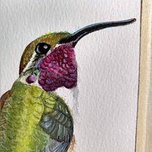Mi Proyecto del curso: Doricha Eliza, colibrí mexicano. Watercolor Painting project by Natalia Cárdenas Rodriguez - 01.01.2021