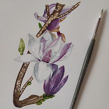 Mi Proyecto del curso: Ilustración botánica con acuarela. Botanical Illustration project by Eloisa Gutiérrez - 01.01.2021