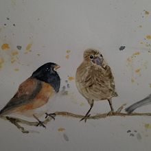 My project in Artistic Watercolor Techniques for Illustrating Birds course. Watercolor Painting project by Esther Yu Sumner - 01.01.2021