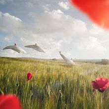 Mares de ilusión . Compoziție fotografică de Julio Martínez Andrés - 01.03.2021