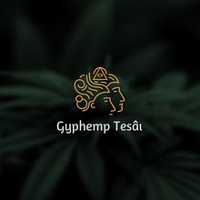 Gyphemp Tesai. Br, ing, Identit, and Logo Design project by Bryan Ricardo Cuasapaz - 12.15.2020