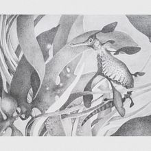 Weedy Seadragon. Un projet de Illustration traditionnelle de Annemarie Sabelis - 03.01.2021
