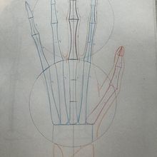 Mi Proyecto del curso: Dibujo anatómico para principiantes. Fine Arts project by Isabel Quiroga Castro - 01.03.2021