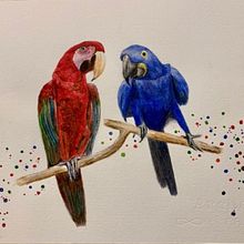 My project in Artistic Watercolor Techniques for Illustrating Birds course. Watercolor Painting project by adlermark - 01.04.2021