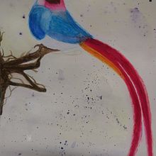 Mi Proyecto del curso: Acuarela artística para ilustración de aves....LupitaLucio. Traditional illustration project by Lupita Lucio - 01.05.2021