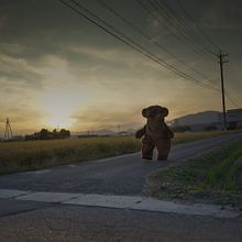 OSO. Film, Video, TV, Photograph, and Advertising project by Juanma Carrillo - 09.27.2020