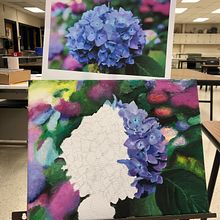 Hydrangea painting . % Michelle tarafından hazırlanan Akrilik Bo, ama, Kalem Çizimi, Eskiz çizimi, Sulubo, Ve a Resim projesi - 12.23.2020