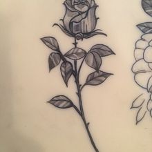 Mi Proyecto del curso: Tatuaje para principiantes. Tattoo Design project by Steffany Diaz - 01.06.2021